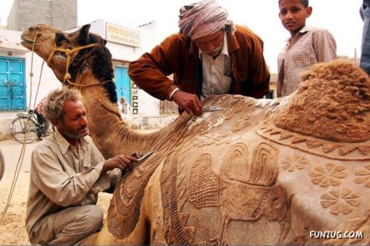 Beautiful Camel Hair Artwork