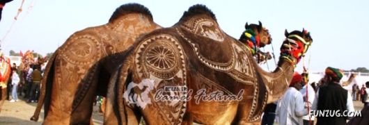Beautiful Camel Hair Artwork