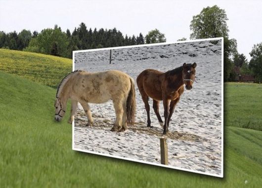 Some Things are Out Of Bounds (Photoshop Work)