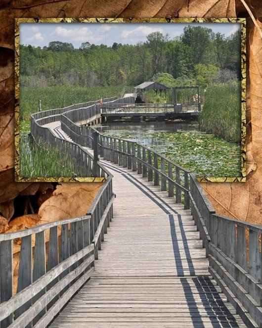 Some Things are Out Of Bounds (Photoshop Work)