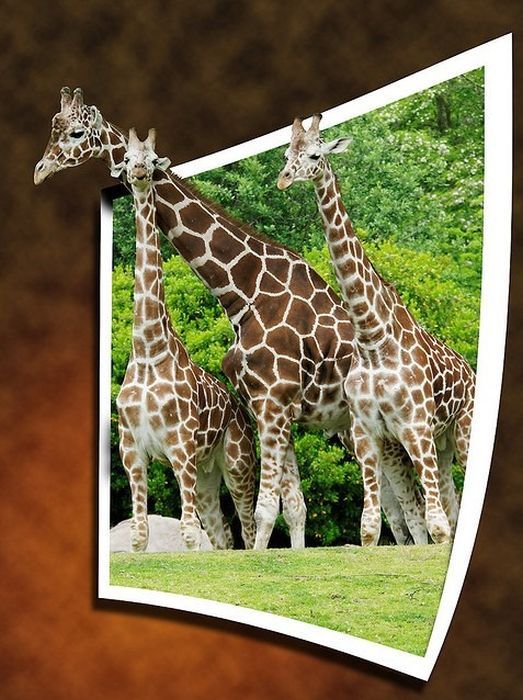 Some Things are Out Of Bounds (Photoshop Work)