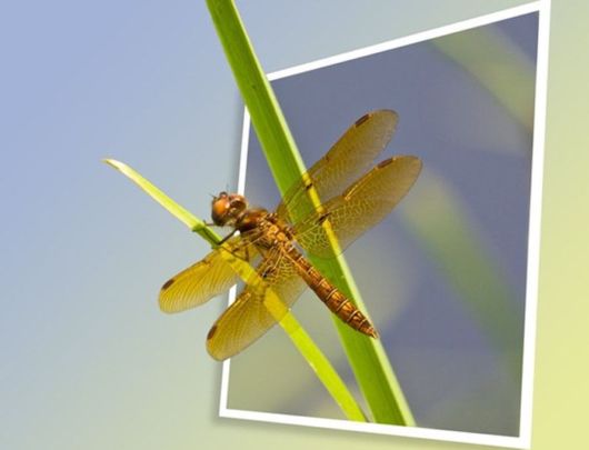 Some Things are Out Of Bounds (Photoshop Work)