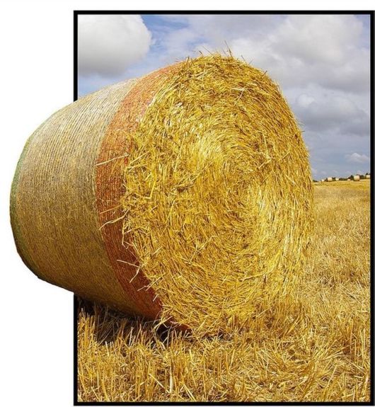 Some Things are Out Of Bounds (Photoshop Work)