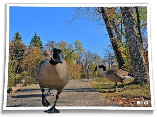 Some Things are Out Of Bounds (Photoshop Work)