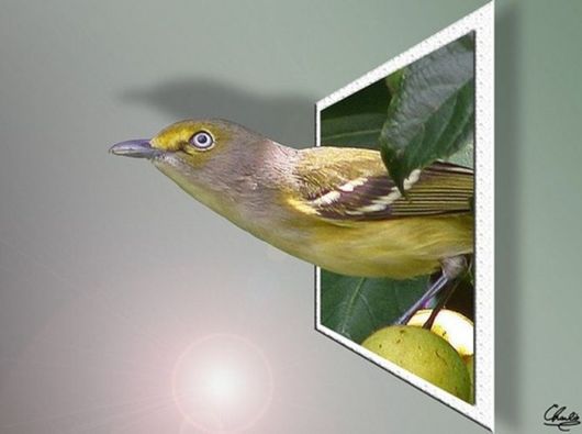 Some Things are Out Of Bounds (Photoshop Work)