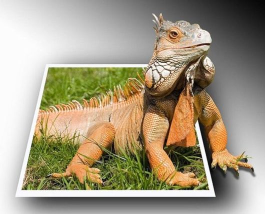 Some Things are Out Of Bounds (Photoshop Work)