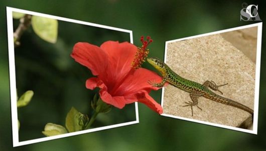 Some Things are Out Of Bounds (Photoshop Work)