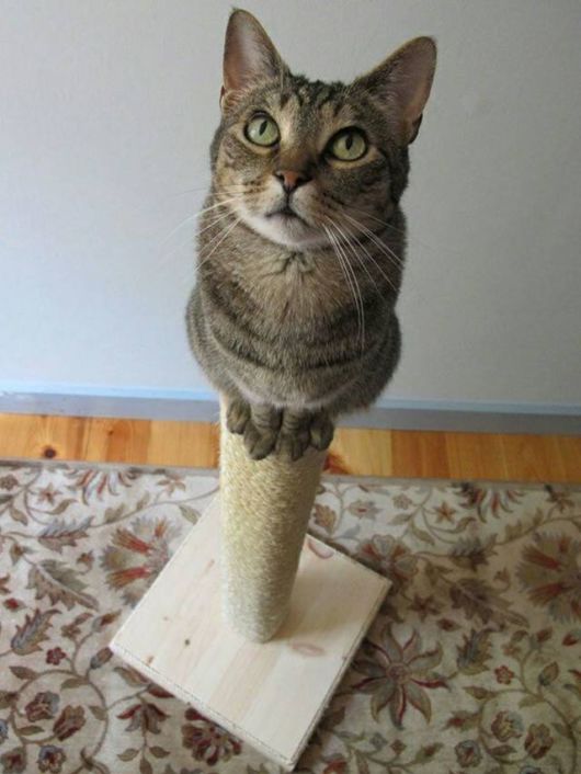 Crazy Fun Pix Of The Day