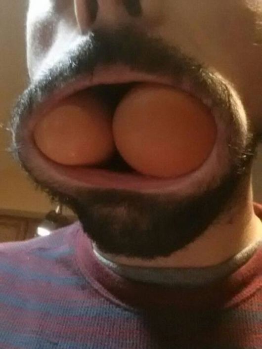 Crazy Fun Pix Of The Day