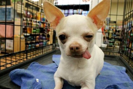 Crazy Fun Pix Of The Day