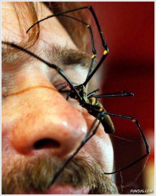 Daily Crazy Funny Pix