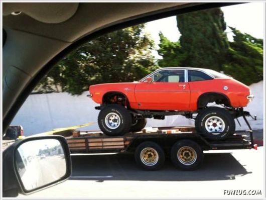 Daily Fun Pictures Dose