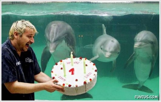 Daily Fun Pictures Dose