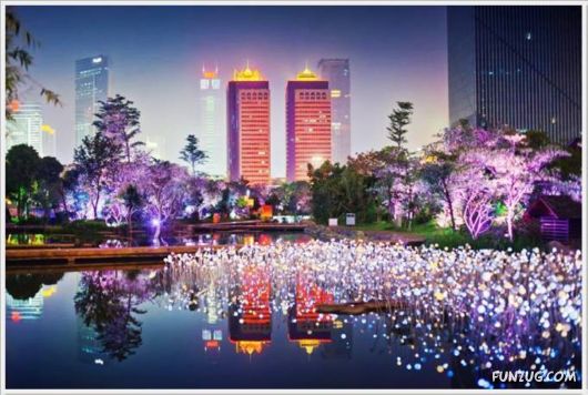 Daily Fun Pictures Dose