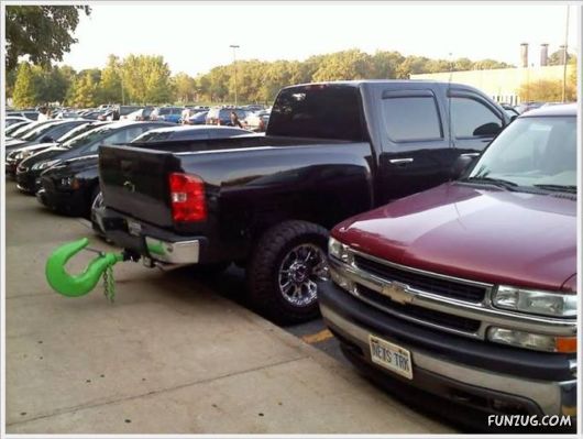 Daily Fun Pictures Dose