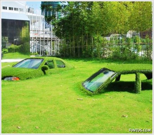 Daily Fun Pictures Dose