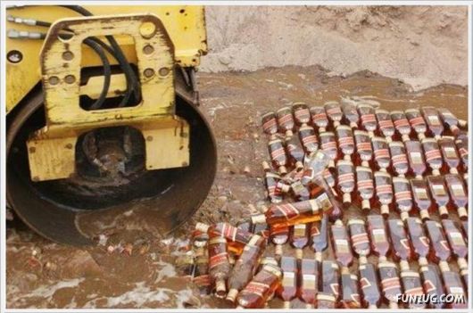 Daily Fun Pictures Dose