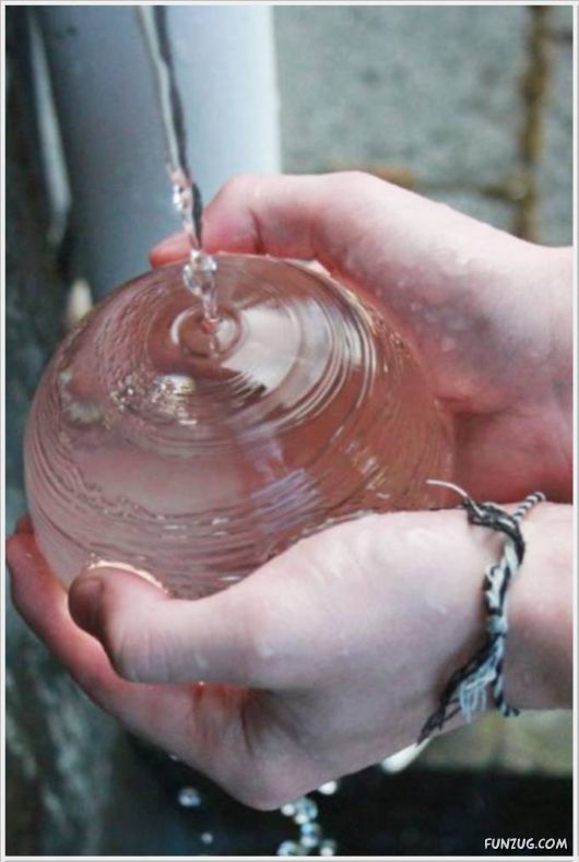 Daily Fun Pictures Dose