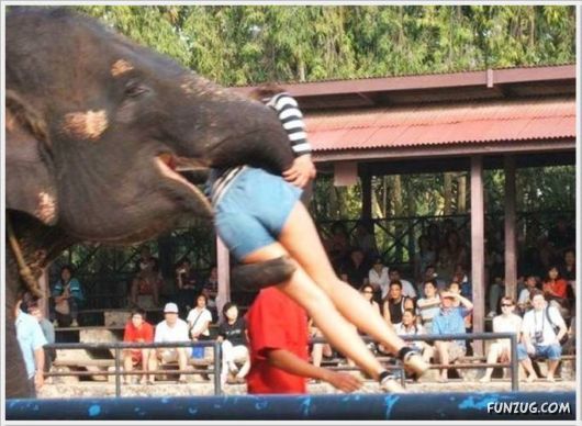 Daily Fun Pictures Dose