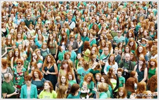 Daily Fun Pictures Dose