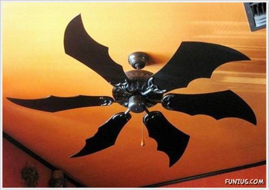 Daily Fun Pictures Dose