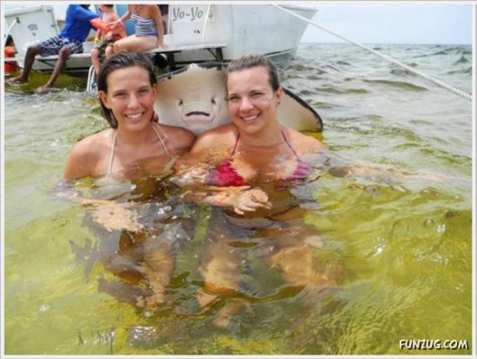 Daily Fun Pictures Dose