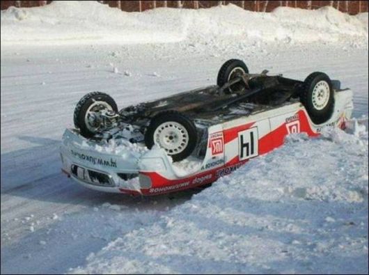 Daily Fun Pix For You