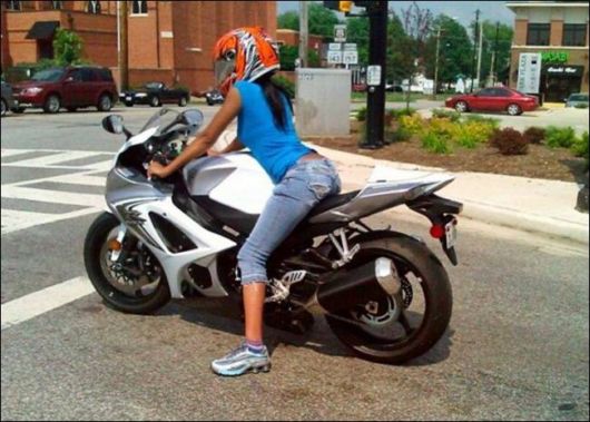 Daily Fun Pix For You