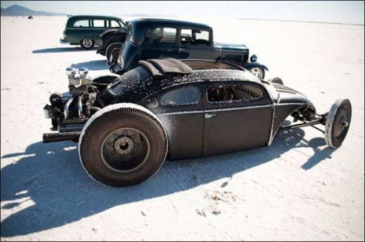 Daily Fun Pix For You