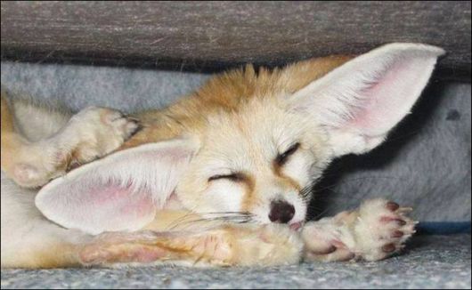 Daily Fun Pix For You