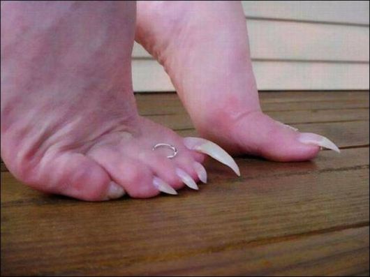 Daily Fun Pix For You