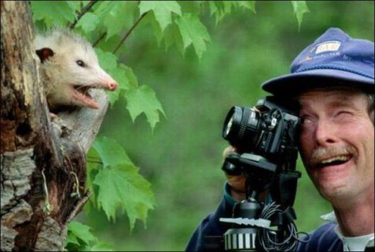 Daily Fun Pix For You