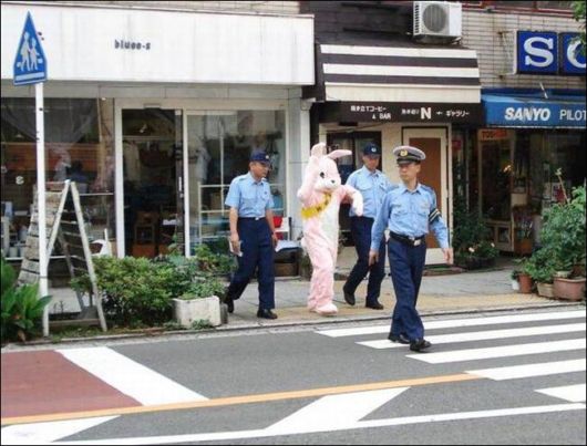 Daily Fun Pix For You