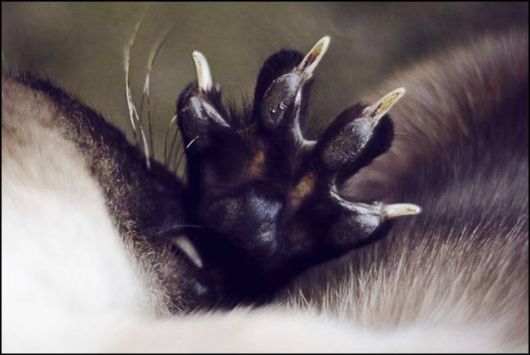 Daily Fun Pix For You