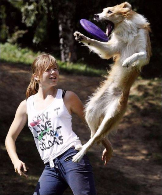 Daily Fun Pix For You