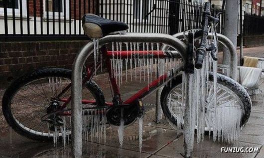 Fun Time With Fun Pictures