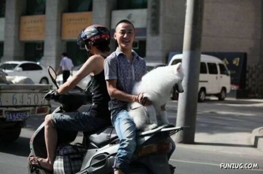 Fun Time With Fun Pictures