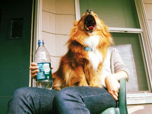 Fun And Funny Optical Illusions