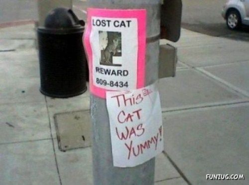 A Collection Of Funny Sign Boards