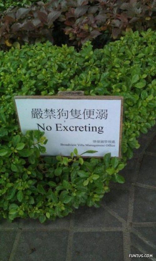 A Collection Of Funny Sign Boards