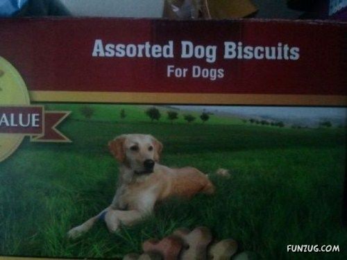 A Collection Of Funny Sign Boards