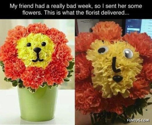 A Heavy Case Of The Mondays