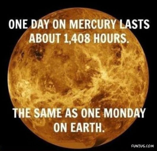 A Heavy Case Of The Mondays