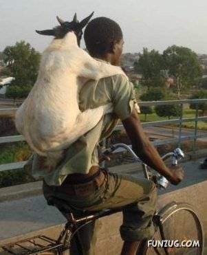 Just For Fun Pictures From India