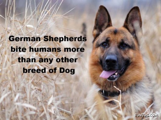 25 Interesting Facts You Never Knew