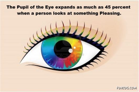 25 Interesting Facts You Never Knew