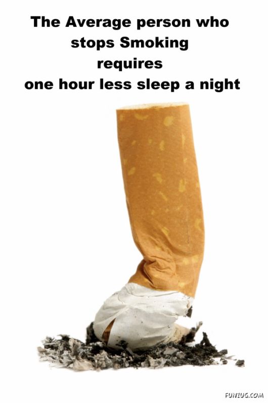 25 Interesting Facts You Never Knew