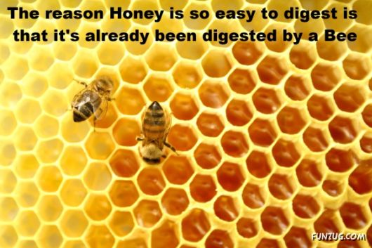 25 Interesting Facts You Never Knew