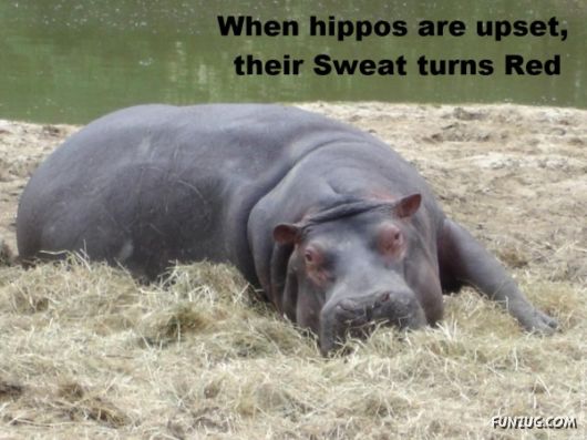 25 Interesting Facts You Never Knew