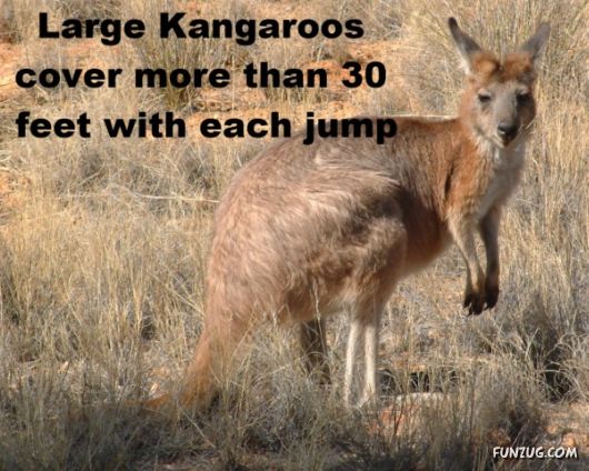 25 Interesting Facts You Never Knew